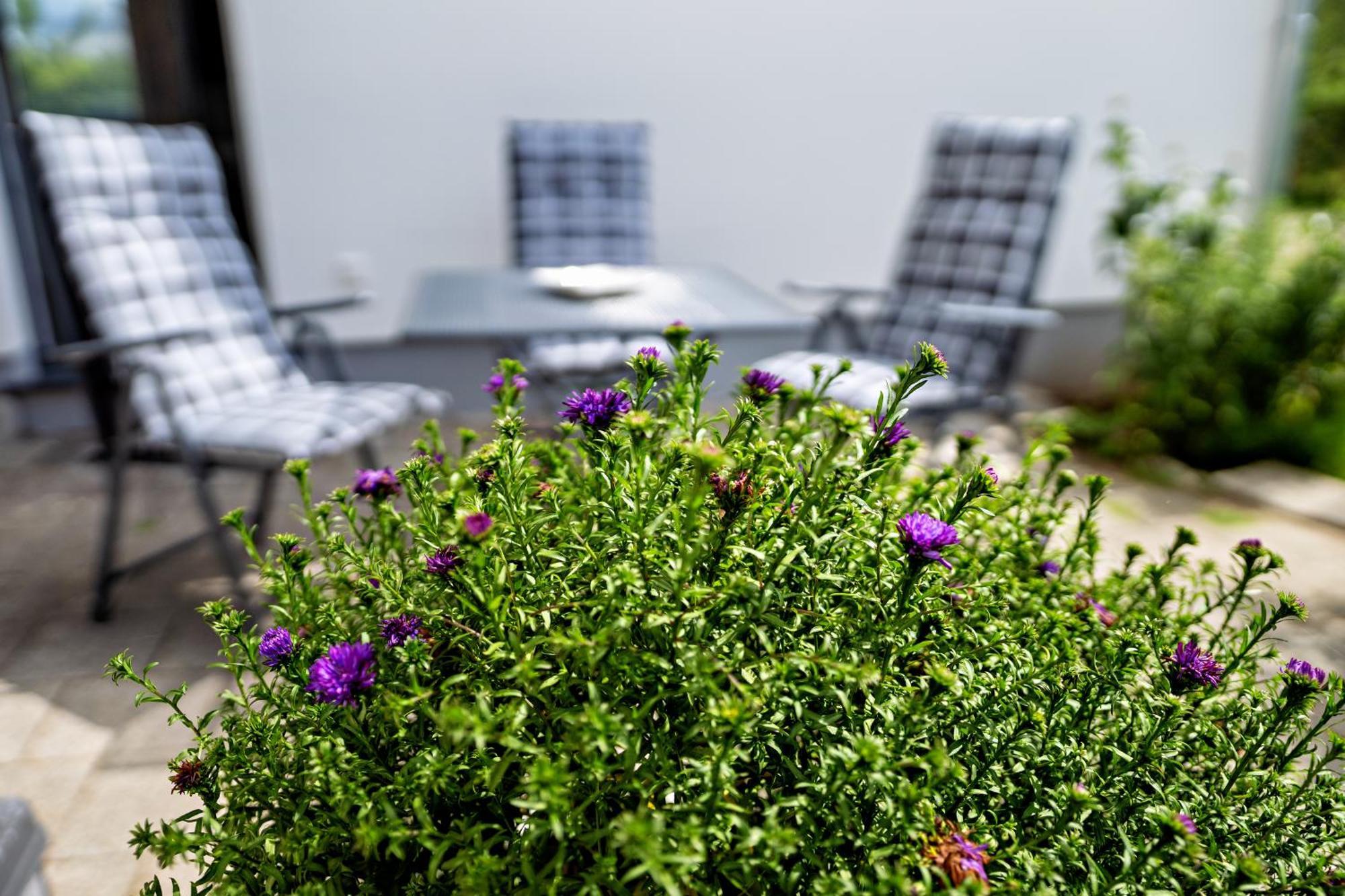 Appartement 2 - Duenenblick Börgerende-Rethwisch Eksteriør billede